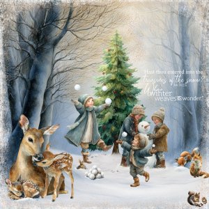 Treasures-of-the-Snow