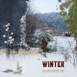 Winter in the Frosty Air