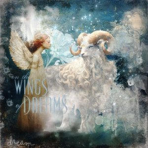 Winter Wonderland Encounter