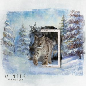 Winter Lynx