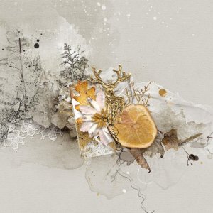 2025.12 RenneDoré.jpg