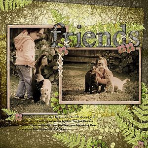 friends