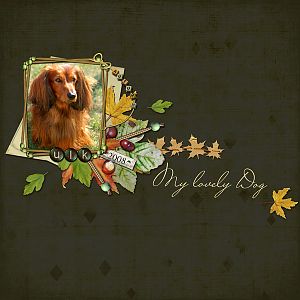 Autumn Dog