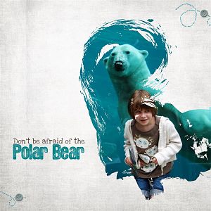 Challenge FEI FEI Brush / Polar Bear