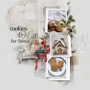 Cookies & Milk for Santa