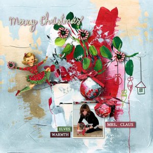 All dressed up for Christmas.jpg