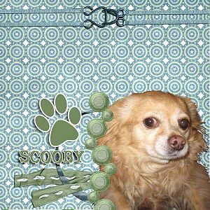 Scooby