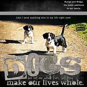 Dogs Whole Lives