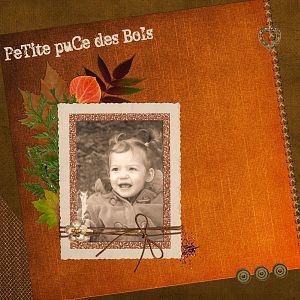 Petite puce des bois