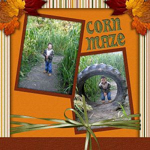 Corn Maze