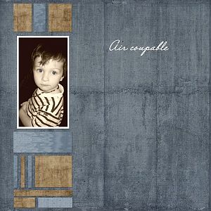 aircoupable