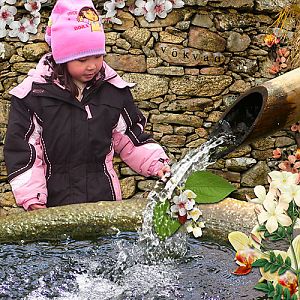 Watering...