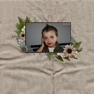 ilan