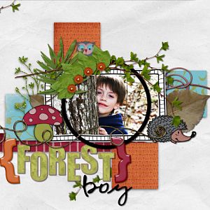 ForestBoy_rectangle_copy