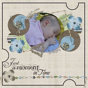 Just a Moment in Time