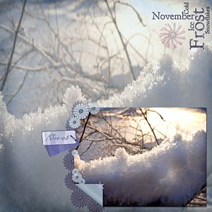 Novemberfrost