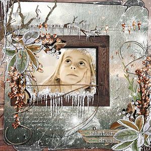 Winter Dream