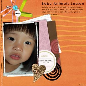 Baby animals lesson