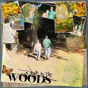 Walk in the Woods