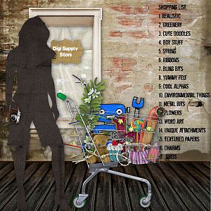 Shopping List