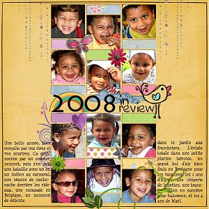 2008 in review