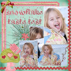 Snowflake Taste Test