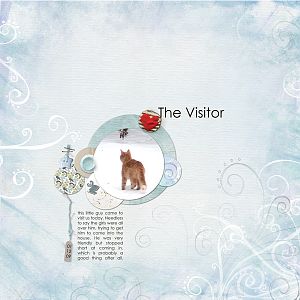 The  visitor