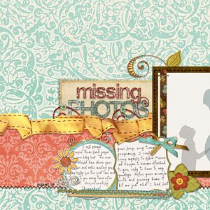 MissingPhotos_rectangle_copy