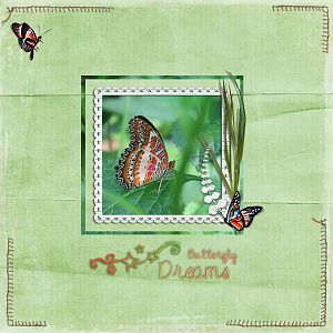 butterfly dreams