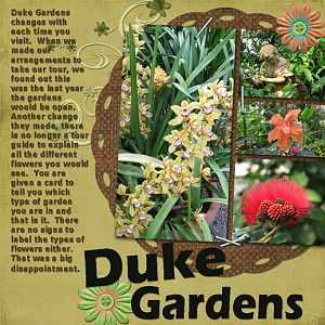 Duke Gardens
