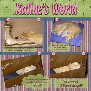 Kaline's World