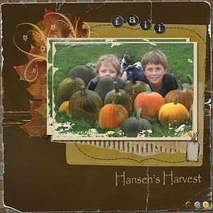 harvest-9-29-08_2