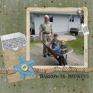 'Barrow of Monkeys