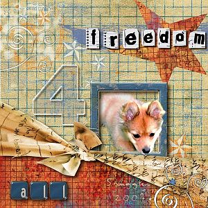 Freedom 4 All