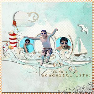 Wonderful Life