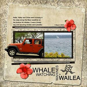 Whale watching in Wailea