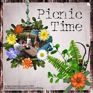 Picnic Time