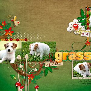 Meet Grass