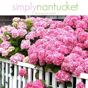 SATURDAY TUTORIAL CHALLENGE: Nantucket Flowers