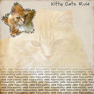 Kitty Cats Rule