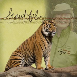 TaylorMade_Challenge#2_Beautiful Tiger