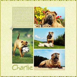 Charlie