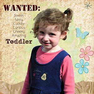Wanted: Toddler