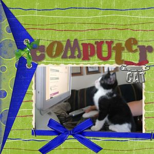 Computer kitty