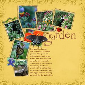 Butterfly Garden - ADSR