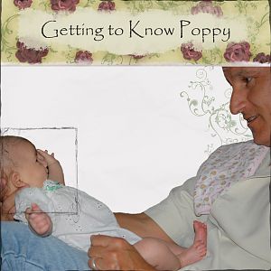 Getting to Know Poppy