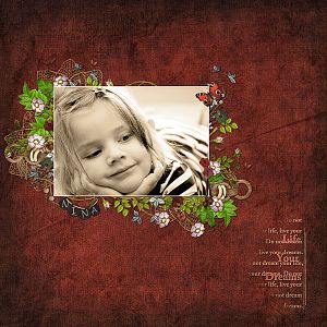 F_r-Steffi