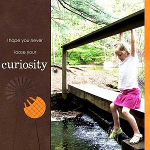 curiosity