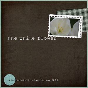 The White Flower