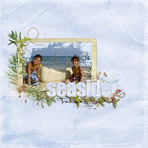 Seaside-Treasure